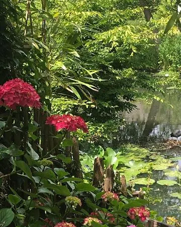 Canal Sight 阿姆斯特丹