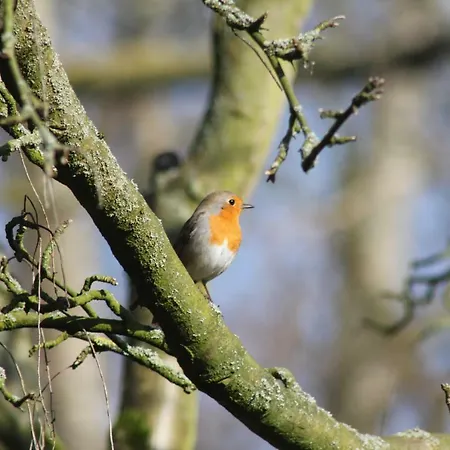 Luxe Room Canal Sight בית הארחה 4*