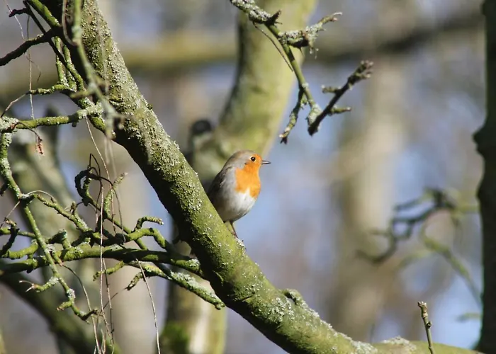 Luxe Room Canal Sight Guest house 4*